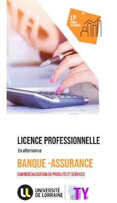 pdf-lp-banque-assurance