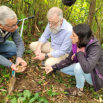 visuel - foret gourmande