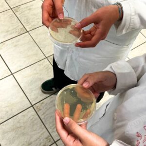 Vacances apprenantes à l’IUT Thionville-Yutz