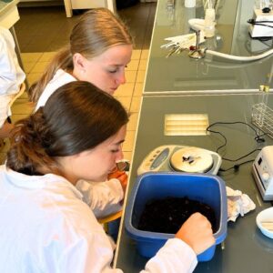Vacances apprenantes à l’IUT Thionville-Yutz