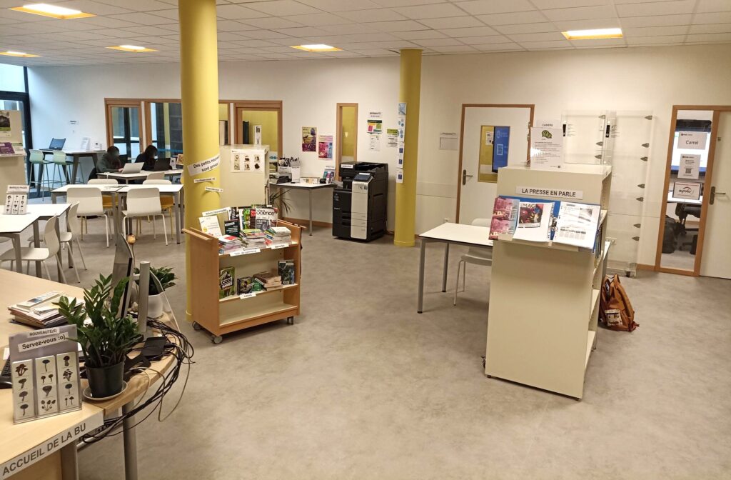 Bibliothèque Universitaire