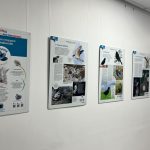 Oiseaux de bonheur - IUT Thionville-Yutz